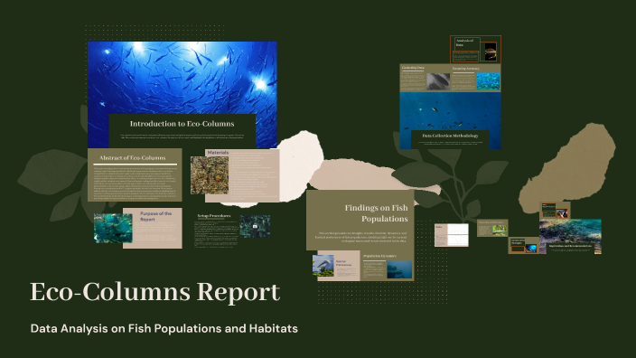 Eco-Columns Report by Steve Gutierrez on Prezi