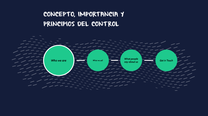 Concepto Importancia Y Principios Del Control