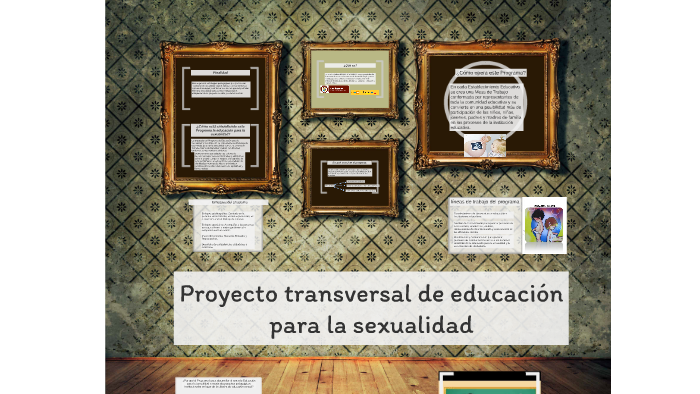 Proyecto Transversal De Educación Para La Sexualidad By Gina Maria