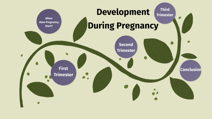 development-during-pregnancy-by-abby-armstrong