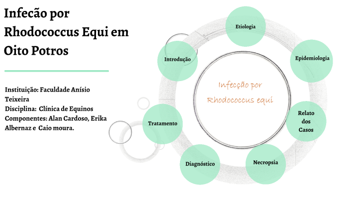 Infecão por Rhodococcus equi em Oito Potros by Caio Moura