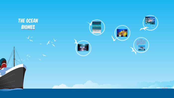 The ocean Biomes by Brianna A on Prezi