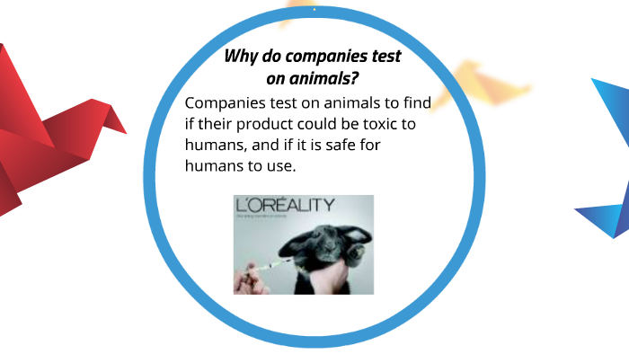 Let Stop Animal Testing by Alastair Rao on Prezi