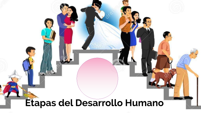 Etapas del desarrollo Humano by Cecilia Torres Hernandez