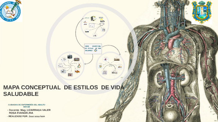 MAPA CONCEPTUAL DE ESTILOS DE VIDA SALUDABLE By Benjamin Jose On Prezi