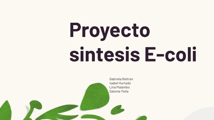 Proyecto de síntesis by Lina Gonzalez on Prezi