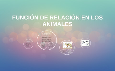 FUNCION DE RELACION EN LOS ANIMALES By Gabriela Moreno On Prezi