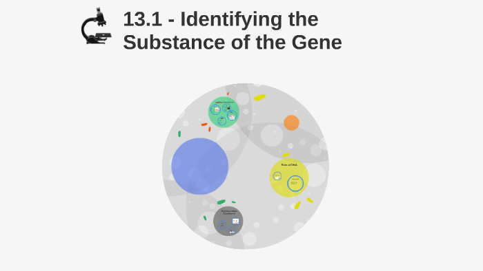 13.1 - Identifying the Substance of the Gene by Melissa Bailey on Prezi