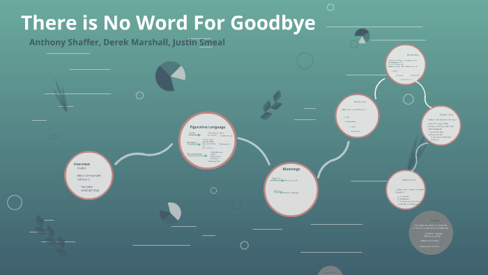 there-is-no-word-for-goodbye-by-anthony-shaffer