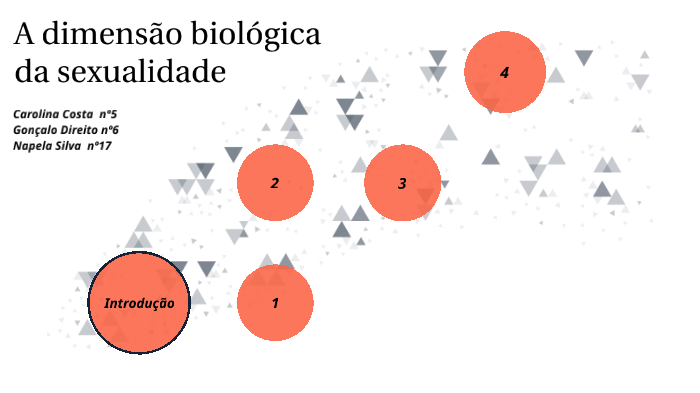 A Dimensão Biológica Da Sexualidade By Napela Silva 1057