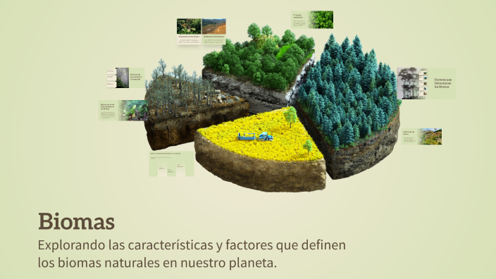 Biomas by Addis Silva on Prezi