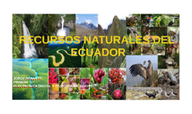 Recursos Naturales De Ecuador By Jorge Bennett