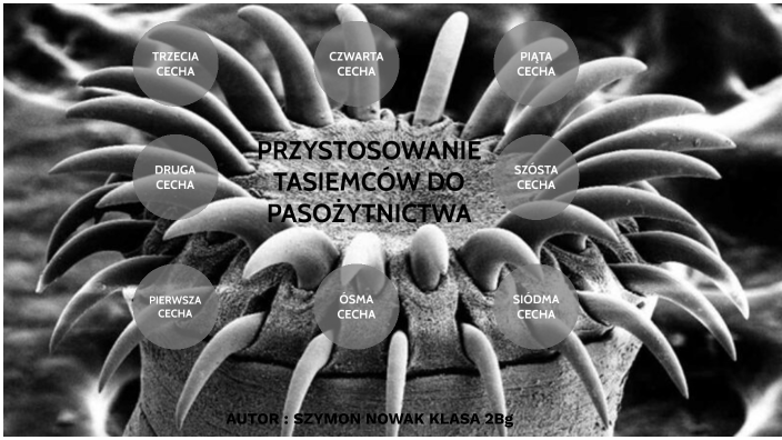 Przystosowanie tasiemców do pasożytnictwa by Szymon Nowak on Prezi