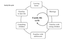 Family Life Cycle By Gwendolyn Fuchs On Prezi Design