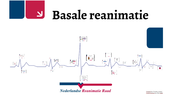 Basale Reanimatie By Christine Berkel