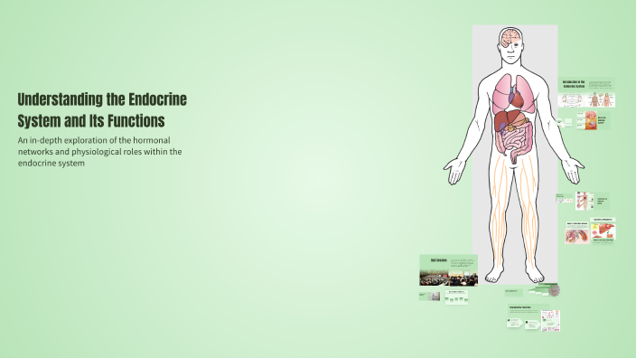 Understanding the Endocrine System and Its Functions by Ej Vidad on Prezi