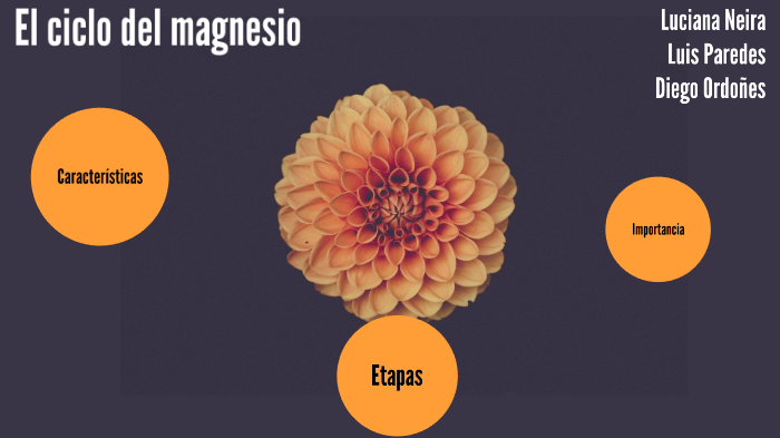 El Ciclo Del Magnesio By Luciana Neira Deza On Prezi