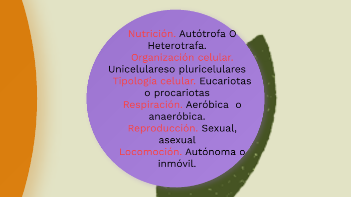 REINOS DE LA NATURALEZA by Alexa Garzon on Prezi