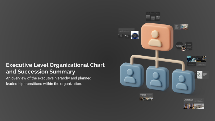 Executive Level Organizational Chart and Succession Summary by arely ...