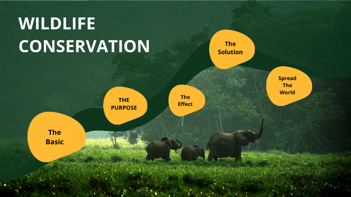 WILDLIFE CONSERVATION by Priya Kumari on Prezi