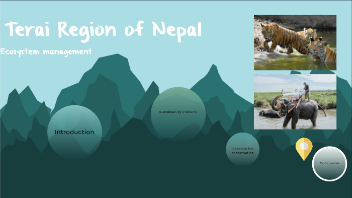 essay on terai region of nepal