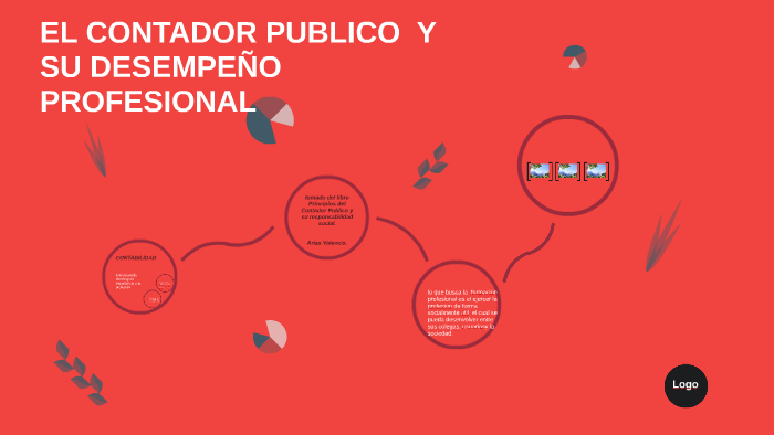 El Contador Publico Y Su Desempeño Profesional