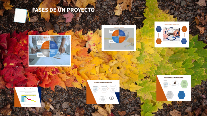 FASES DE UN PROYECTO by Emily Bohorquez on Prezi