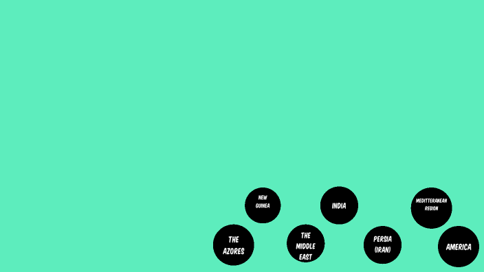 The Journey of Sugar by Mahari Hunter on Prezi