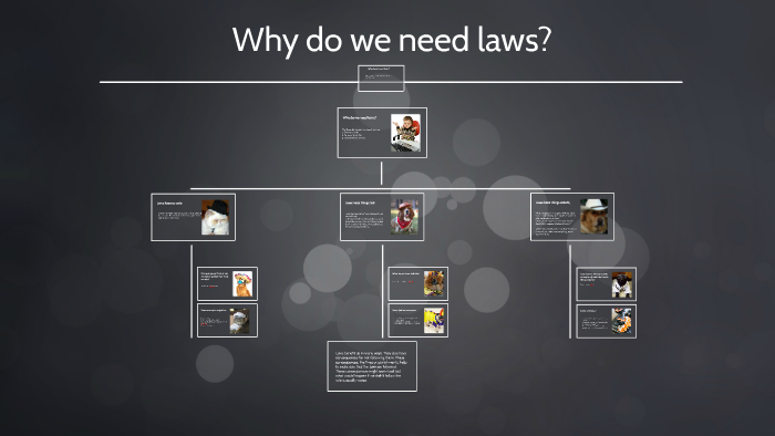 why-do-we-need-laws-by-larissa-cheney