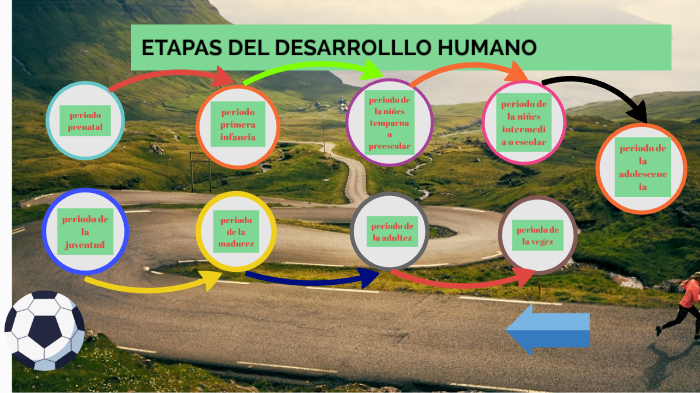 etapas del desarrollo humano by elkin johel cotrina arias on Prezi