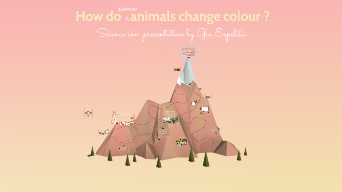 how-do-animals-change-colour-by-gia-espelita