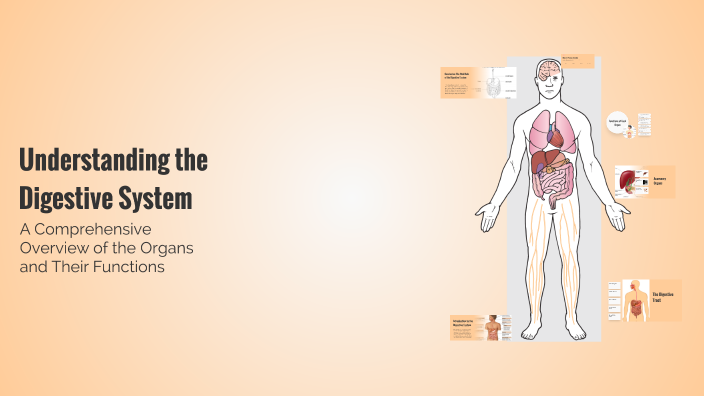 Understanding the Digestive System by JEFFERSON BALDERAMA on Prezi