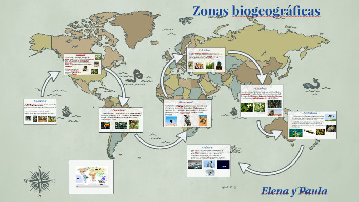 Zonas biogeográficas by Paula Lopez on Prezi