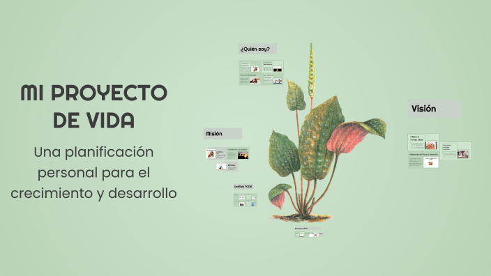 MI PROYECTO DE VIDA by Brissia C. Cundapi Hernández on Prezi