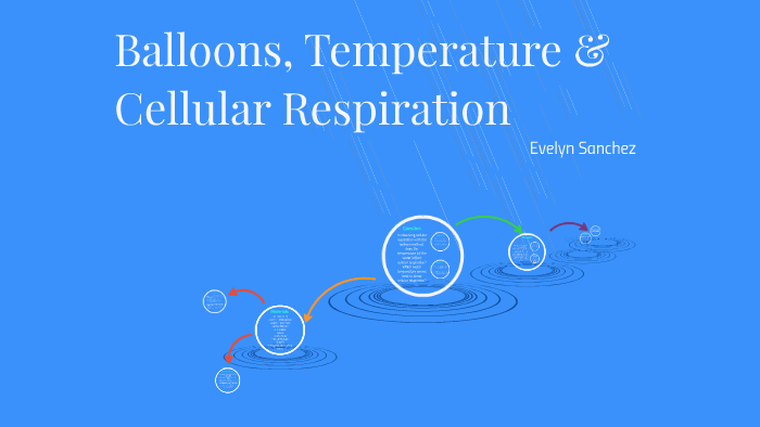 cellular respiration balloon experiment