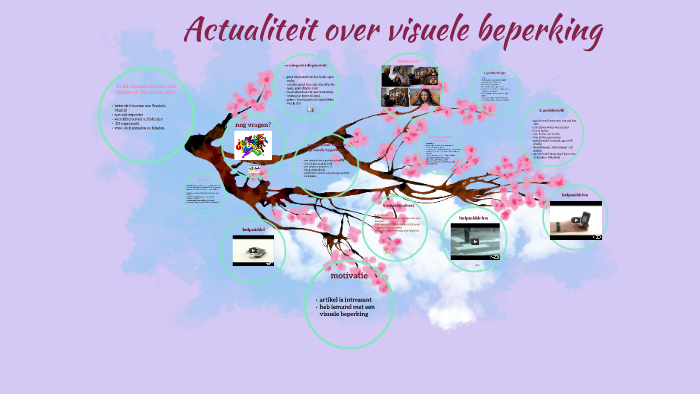 Actualiteit Over Visuele Beperking By Evelyne Neyt On Prezi