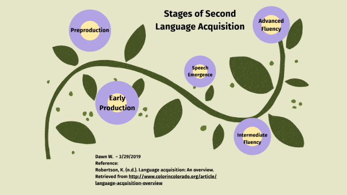 What Are The 6 Stages Of First Language Acquisition