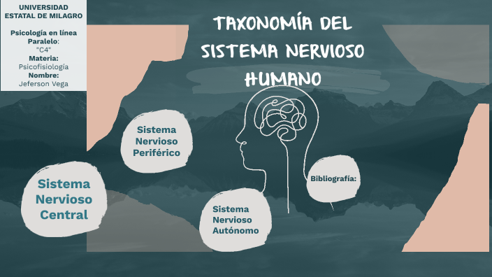 Taxonomía el Sistema Nervioso Humano by Jeferson Vega Palacios