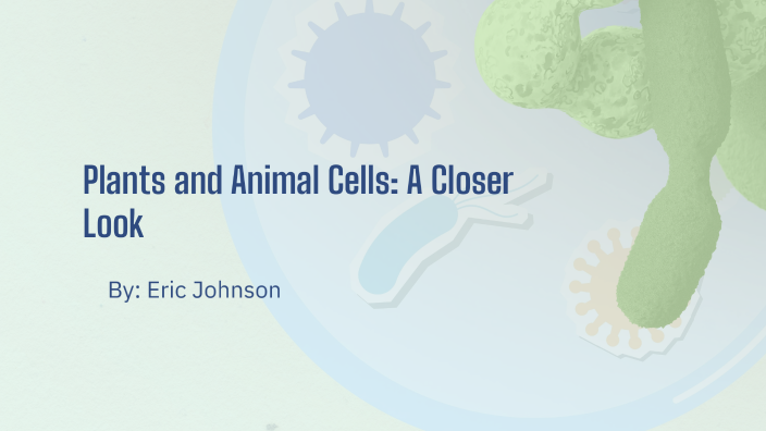Plants and Animal Cells: A Closer Look by Eric Johnson on Prezi