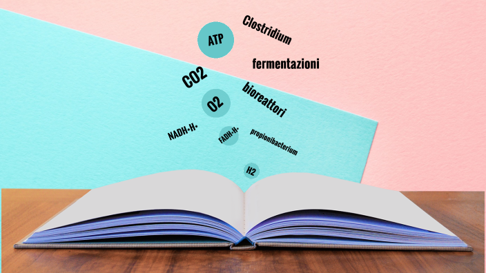 tesina esame by Annalisa Casolari on Prezi