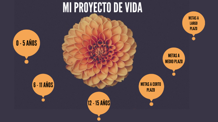 Mi proyecto de vida by Viviana Estrada on Prezi