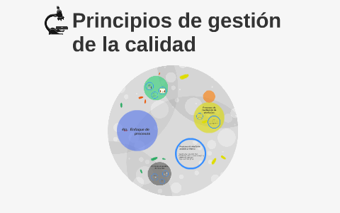 Principios de gestión de la calidad by Susana Mier on Prezi