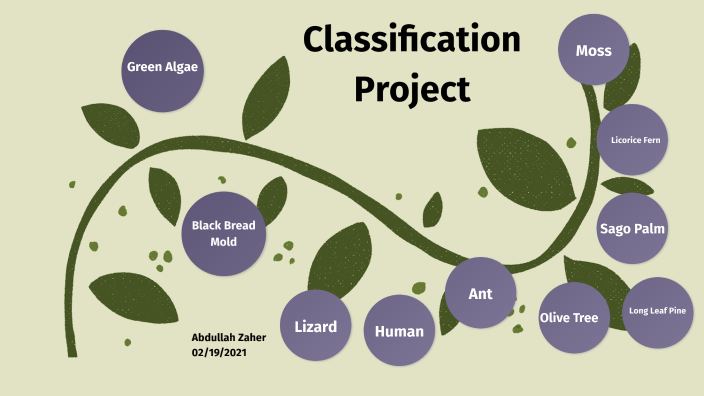 Classification Project by Abdullah Zaher on Prezi