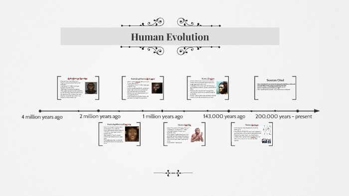 Human Evolution by Amanda Kuehl-Schaefer on Prezi