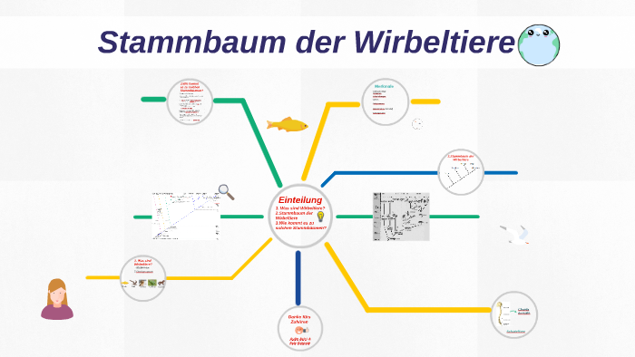 Der Stammbaum Der Wirbeltiere Stammbaum der Wirbeltiere by eda byrm on Prezi