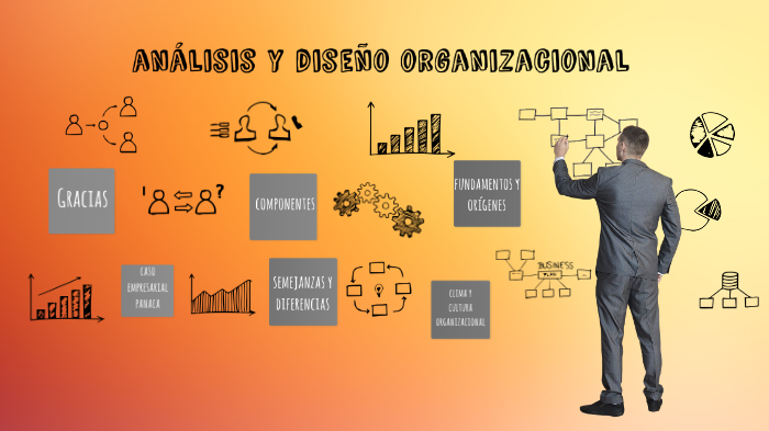 componentes del análisis y diagnostico organizacional by anyi