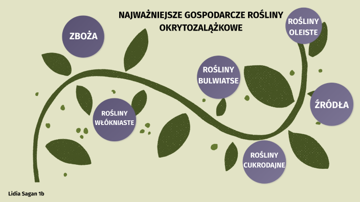 Zastosowanie roślin okrytozalążkowych by Lidia Sagan on Prezi