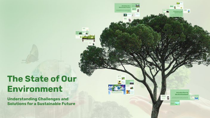 The State of Our Environment by Hằng Lê on Prezi