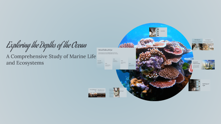 Exploring the Depths of the Ocean by Алтынай Алтынай on Prezi
