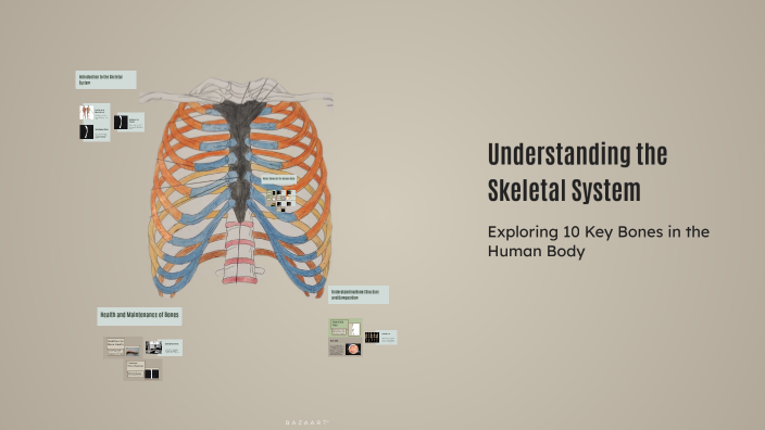Understanding the Skeletal System by Jason DICKINSON on Prezi